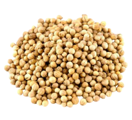 Coriander Seeds